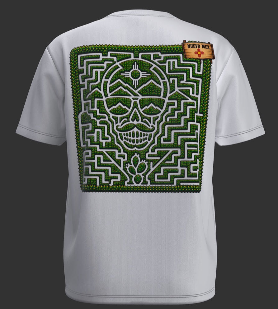 NM Maze