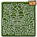 NM Maze
