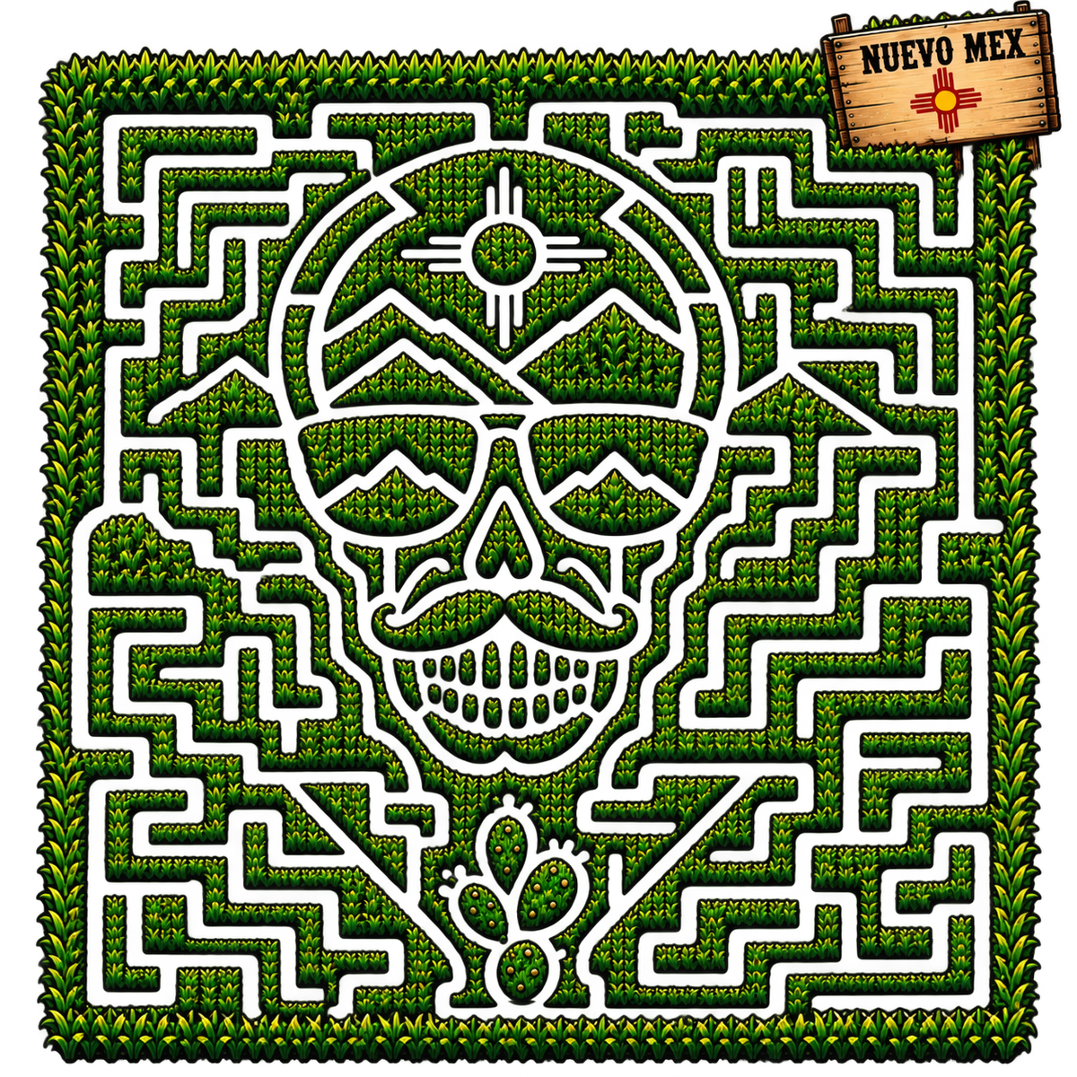 NM Maze